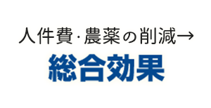 総合効果